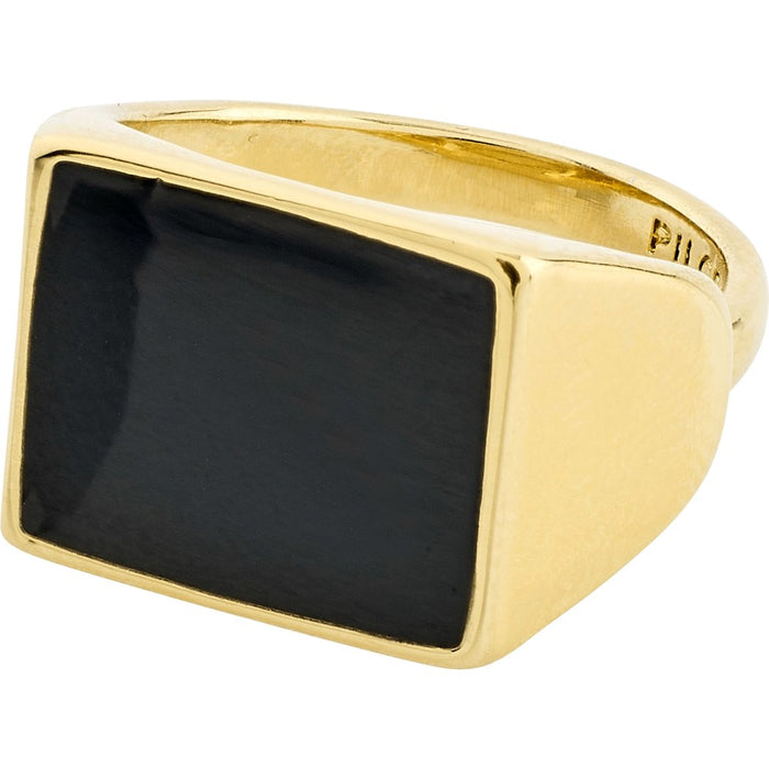 Ecru Square Black Signet Ring - Gold Plated